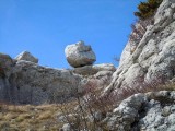 16. _čučavac_